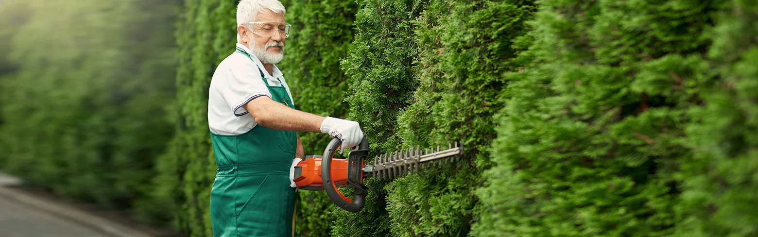 Battery Features in Gardening Tools