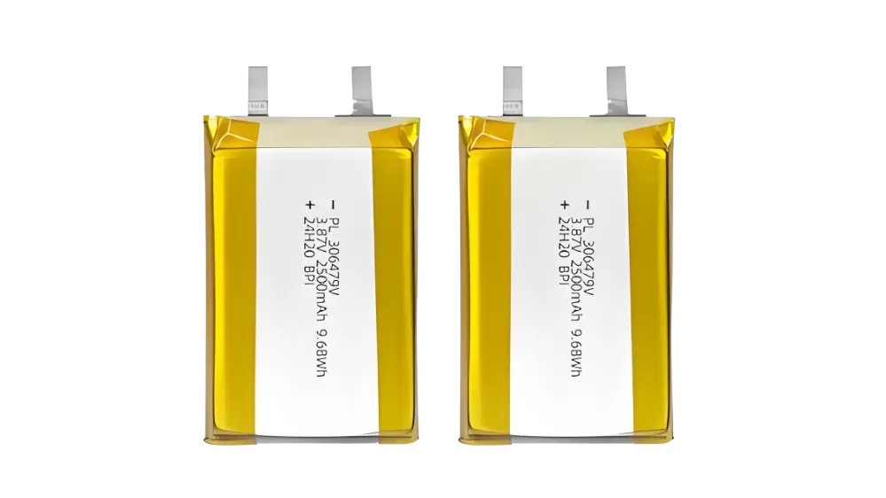 Lithium Polymer Batteries for Demanding Applications