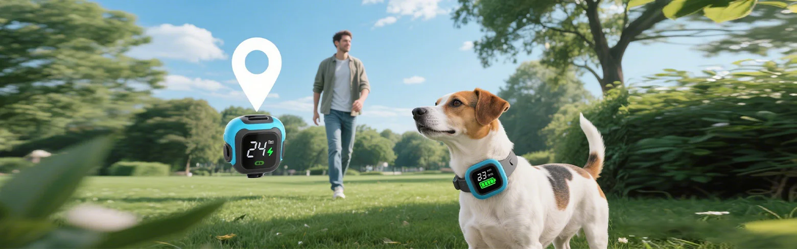 Battery Functions of Pet Trackers