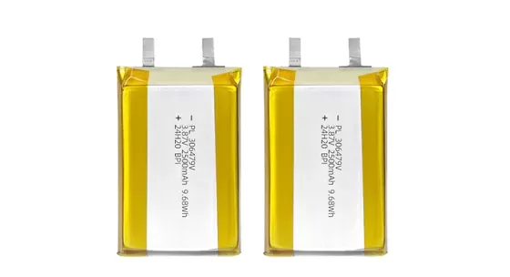 Power the Future with BPI Lithium Polymer Batteries